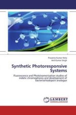 Synthetic Photoresponsive Systems