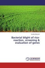 Bacterial blight of rice-reaction, screening & evaluation of genes