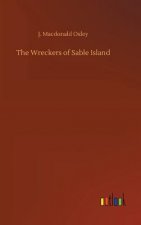 Wreckers of Sable Island