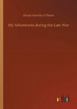 My Adventures during the Late War