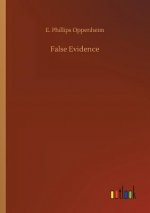 False Evidence
