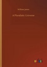Pluralistic Universe