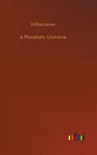 Pluralistic Universe
