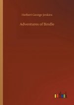 Adventures of Bindle