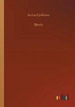 Bevis