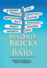 Beyond Bricks and Bars