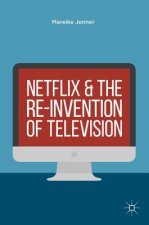 Netflix and the Re-invention of Television