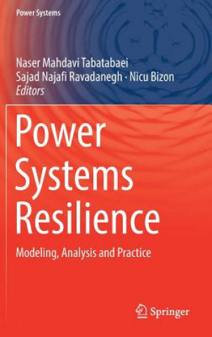 Power Systems Resilience