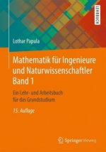 Mathematik fur Ingenieure und Naturwissenschaftler Band 1
