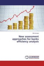 New assessment approaches for banks efficiency analysis