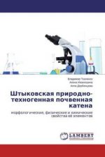 Shtykovskaya prirodno-tehnogennaya pochvennaya katena