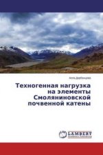 Tehnogennaya nagruzka na jelementy Smolyaninovskoj pochvennoj kateny