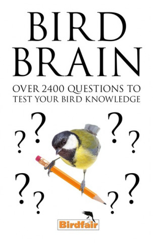 Bird Brain