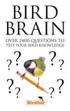Bird Brain
