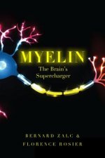 Myelin