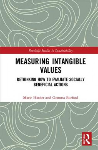 Measuring Intangible Values