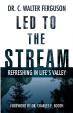 Led to the Stream: Refreshing in Life's Valley