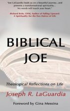 Biblical Joe: Theological Reflections on Life