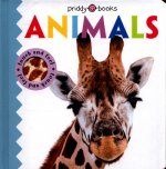 Touch & Feel Friends Animals