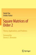 Square Matrices of Order 2