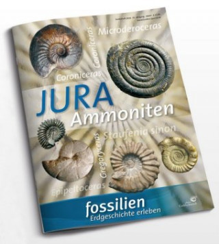 Jura-Ammoniten
