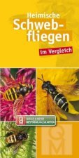 Heimische Schwebfliegen im Vergleich