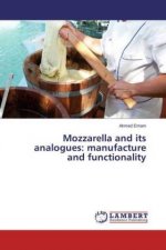 Mozzarella and its analogues: manufacture and functionality