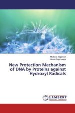 New Protection Mechanism of DNA by Proteins against Hydroxyl Radicals