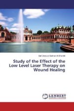 Study of the Effect of the Low Level Laser Therapy on Wound Healing