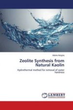 Zeolite Synthesis from Natural Kaolin