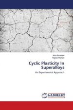Cyclic Plasticity In Superalloys