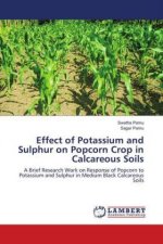 Effect of Potassium and Sulphur on Popcorn Crop in Calcareous Soils