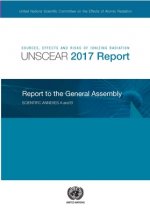 Sources, effects and risks of ionizing radiation