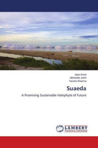 Suaeda