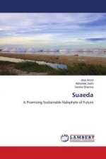 Suaeda