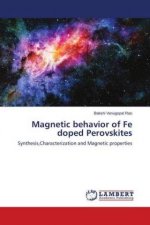 Magnetic behavior of Fe doped Perovskites