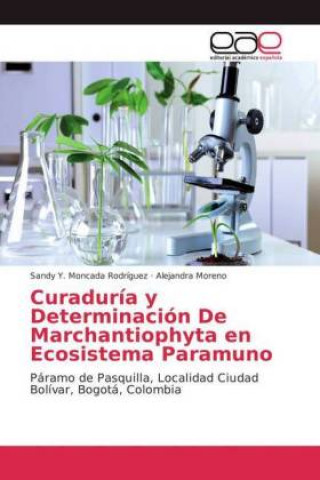 Curaduria y Determinacion De Marchantiophyta en Ecosistema Paramuno