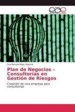 Plan de Negocios - Consultorias en Gestion de Riesgos
