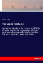 The young mechanic