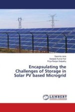 Encapsulating the Challenges of Storage in Solar PV based Microgrid