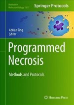 Programmed Necrosis