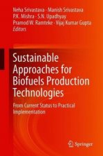 Sustainable Approaches for Biofuels Production Technologies