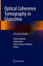 Optical Coherence Tomography in Glaucoma