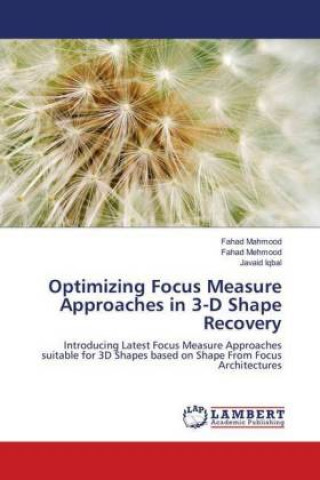 Optimizing Focus Measure Approaches in 3-D Shape Recovery