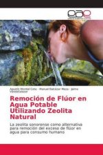 Remocion de Fluor en Agua Potable Utilizando Zeolita Natural