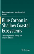 Blue Carbon in Shallow Coastal Ecosystems