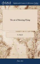 art of Shooting Flying