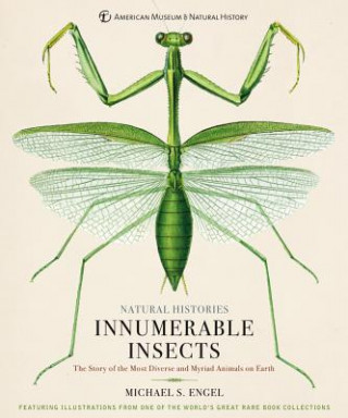 Innumerable Insects