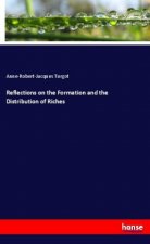 Reflections on the Formation and the Distribution of Riches
