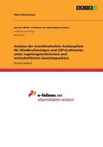 Analyse der marokkanischen Ausbaupläne für Windkraftanlagen und CSP-Kraftwerke unter regelungstechnischen und wirtschaftlichen Gesichtspunkten